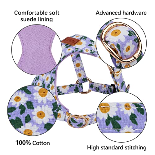 CHEDE No Pull Floral Pattern Dog Harness – Lightweight Cotton Harness and Leash Set for Small and Medium Dogs, Adjustable XXS Size