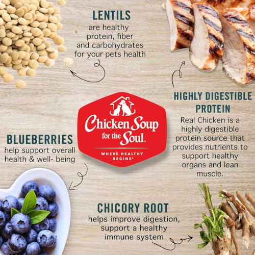 Chicken Soup for the Soul Grain-Free Dry Dog Food, Chicken, Pea & Sweet Potato, 4lb - Real Chicken First, Added Taurine