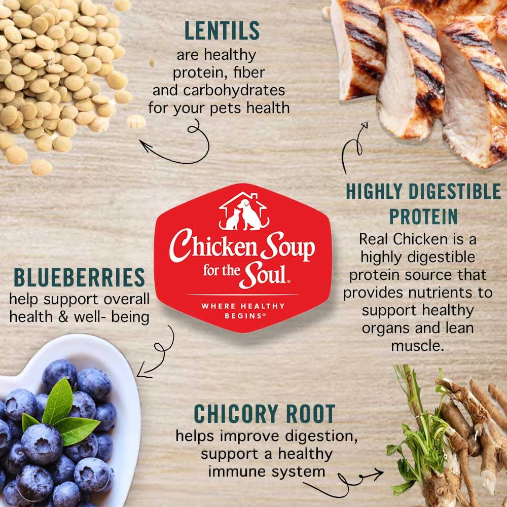 Chicken Soup for the Soul Grain-Free Dry Dog Food, Chicken, Pea & Sweet Potato, 4lb - Real Chicken First, Added Taurine