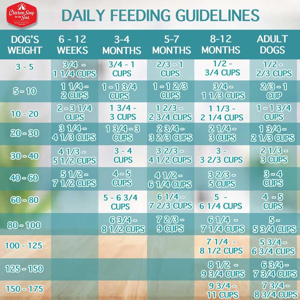 Chicken Soup for the Soul Grain-Free Dry Dog Food, Chicken, Pea & Sweet Potato, 4lb - Real Chicken First, Added Taurine