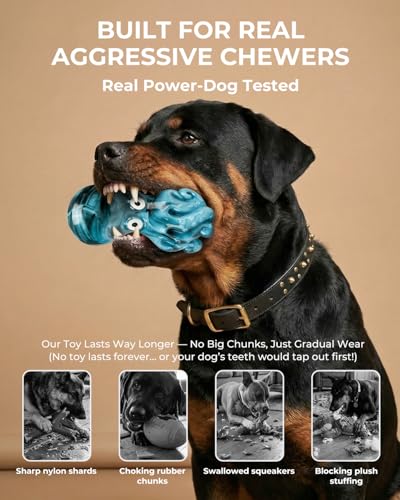 ChienBox 3-Pack Tough Dog Toys for Aggressive Chewers - Bacon-Flavored Nylon Chew Bones for Medium Large Breeds 20-90 lbs