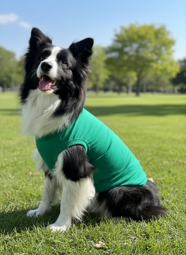 Chol&Vivi 4-Pack Dog Tank Tops, Sleeveless Cotton Shirts for Large Dogs, XX-Large (25" Chest), Black/Grey/White/Dark Green