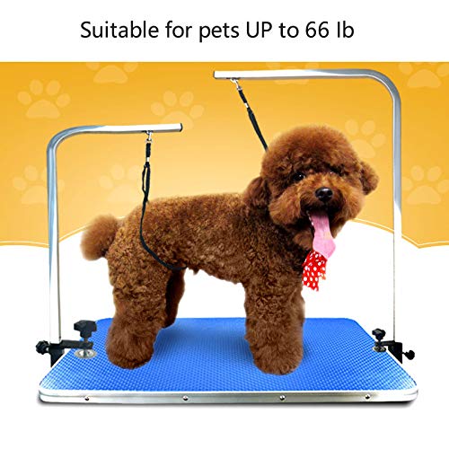 CLCK 6-Pack 22-Inch Nylon Dog Grooming Loops – Adjustable Restraint Nooses for Bathing & Grooming Tables