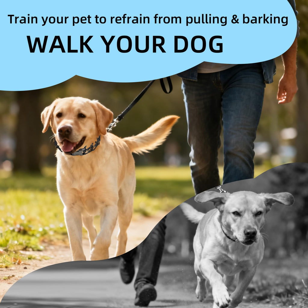 CMIYUYNG Prong Training Collar for Dogs – Adjustable Pinch Collar with Quick Release Buckle, Extra Link & Caps