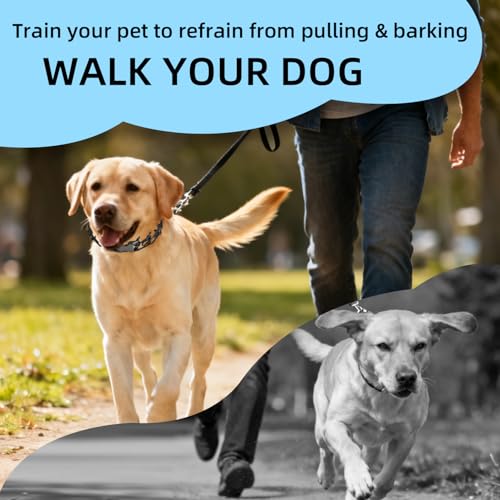 CMIYUYNG Prong Training Collar for Dogs – Adjustable Pinch Collar with Quick Release Buckle, Extra Link & Caps