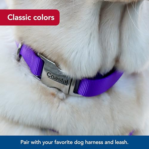 Coastal Nylon Adjustable Dog Collar 18-26 Inch Purple with Metal Snap-Lock Buckle