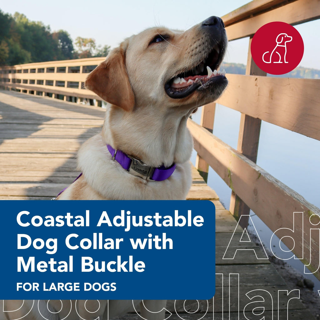 Coastal Nylon Adjustable Dog Collar 18-26 Inch Purple with Metal Snap-Lock Buckle