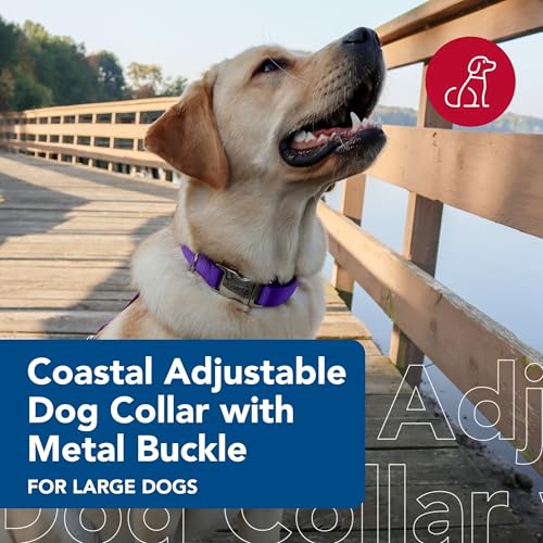 Coastal Nylon Adjustable Dog Collar 18-26 Inch Purple with Metal Snap-Lock Buckle