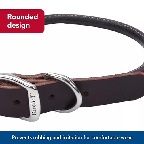 Coastal Pet Circle T Latigo Leather Round Dog Collar – Handcrafted Full-Grain 3/8" x 14" Brown Collar for Long Hair or Sensitive Skin