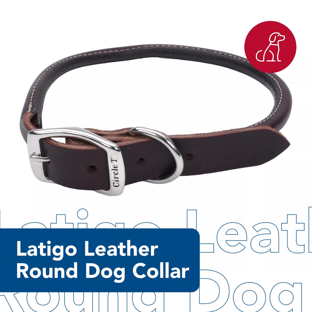 Coastal Pet Circle T Latigo Leather Round Dog Collar – Handcrafted Full-Grain 3/8" x 14" Brown Collar for Long Hair or Sensitive Skin