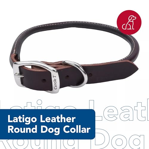 Coastal Pet Circle T Latigo Leather Round Dog Collar – Handcrafted Full-Grain 3/8" x 14" Brown Collar for Long Hair or Sensitive Skin