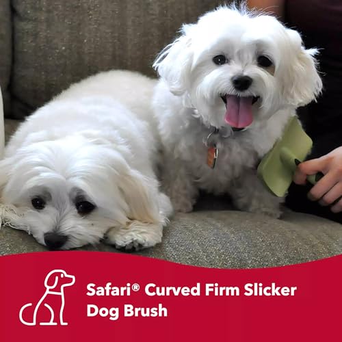 Coastal Pet Safari Curved Slicker Brush - Stainless Steel Dog Brush for All Coat Types