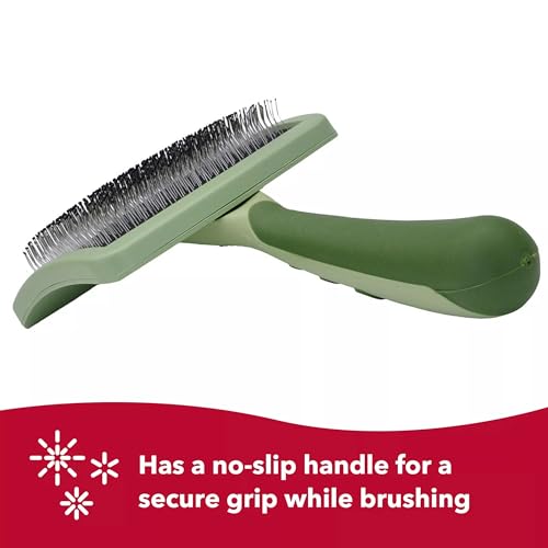 Coastal Pet Safari Curved Slicker Brush - Stainless Steel Dog Brush for All Coat Types