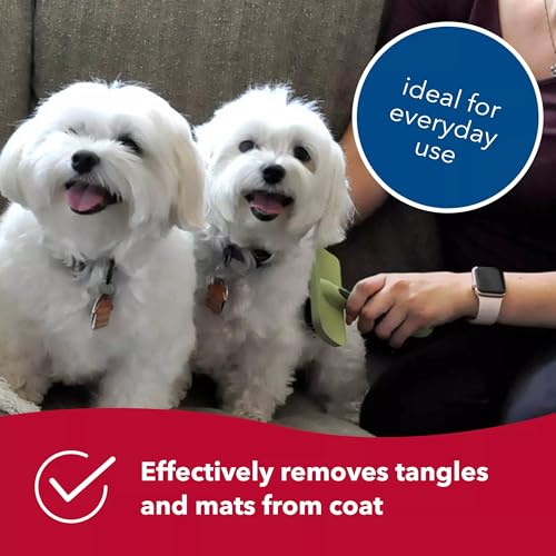 Coastal Pet Safari Curved Slicker Brush - Stainless Steel Dog Brush for All Coat Types