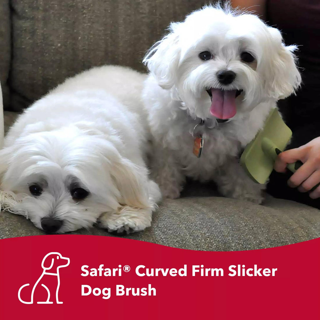 Coastal Pet Safari Curved Slicker Brush - Stainless Steel Dog Brush for All Coat Types