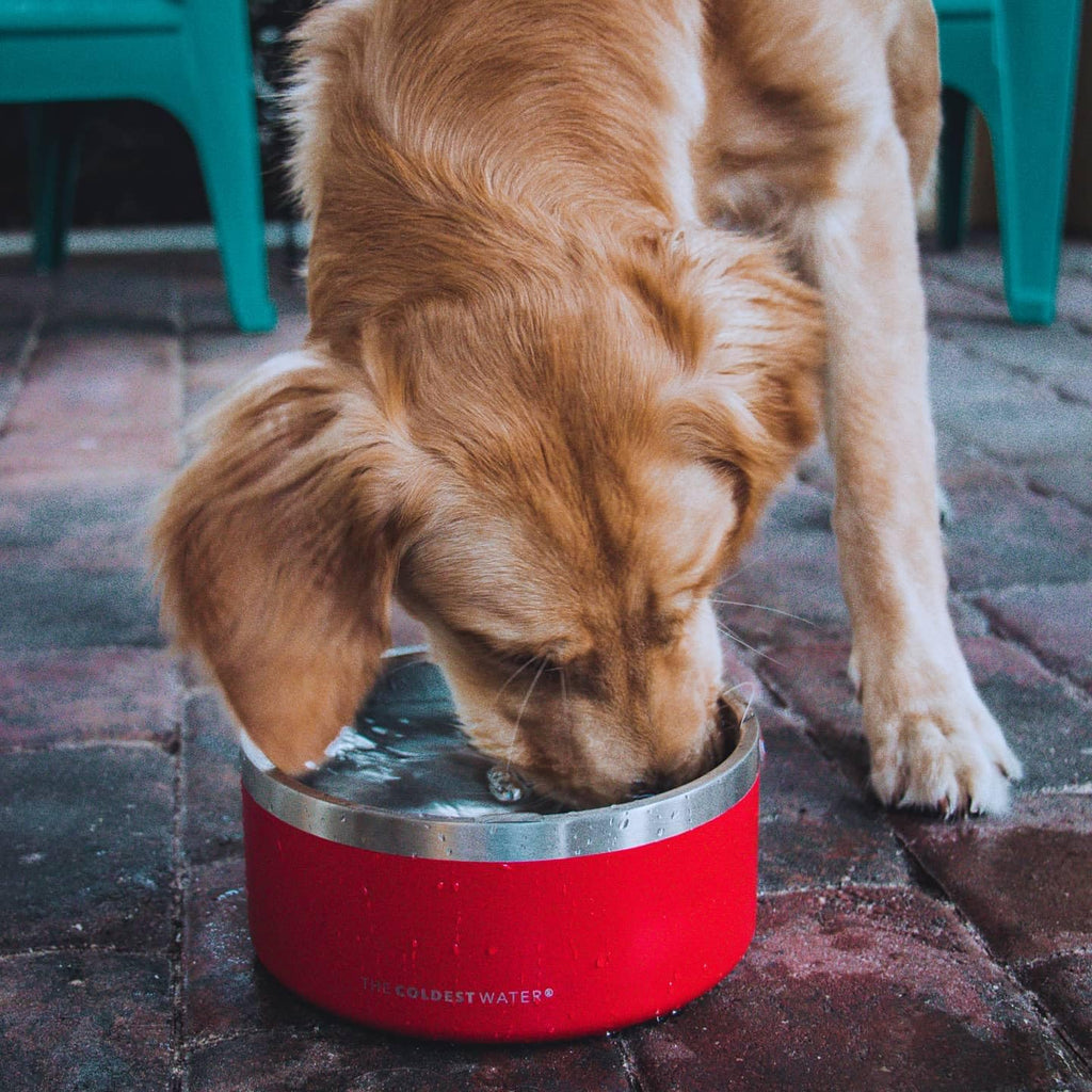 Coldest Dog Bowl 21 oz Mars Red Glitter - Triple Wall Insulated Stainless Steel, Non-Slip, Rust-Resistant