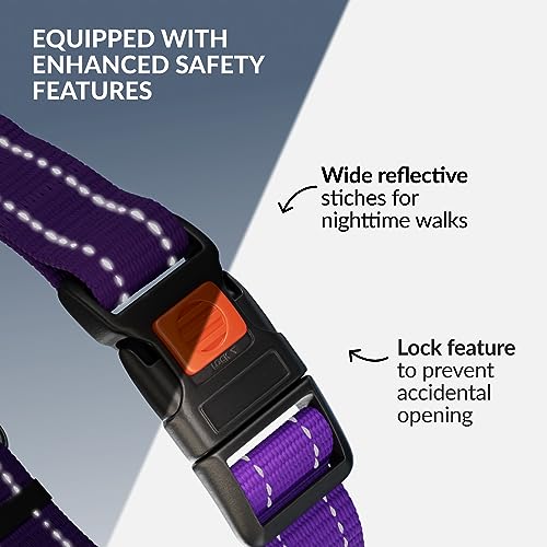 CollarDirect Martingale Dog Collar - Medium (14"-17") - Purple Reflective Nylon - Slip Collar for Training