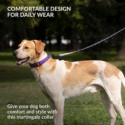 CollarDirect Martingale Dog Collar - Medium (14"-17") - Purple Reflective Nylon - Slip Collar for Training