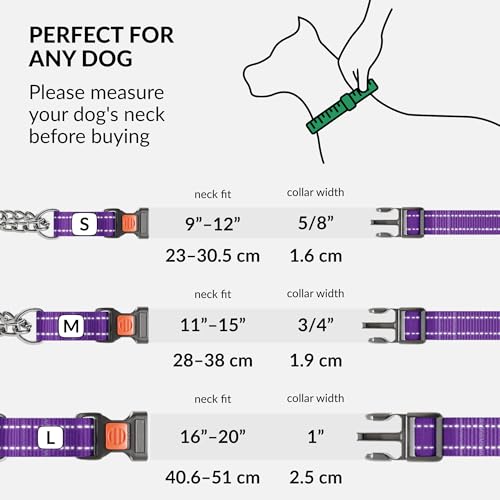 CollarDirect Martingale Dog Collar - Medium (14"-17") - Purple Reflective Nylon - Slip Collar for Training