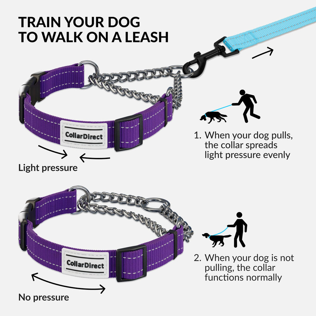 CollarDirect Martingale Dog Collar - Medium (14"-17") - Purple Reflective Nylon - Slip Collar for Training