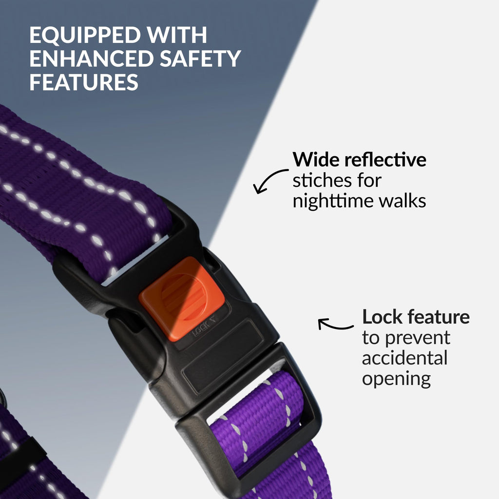 CollarDirect Martingale Dog Collar - Medium (14"-17") - Purple Reflective Nylon - Slip Collar for Training