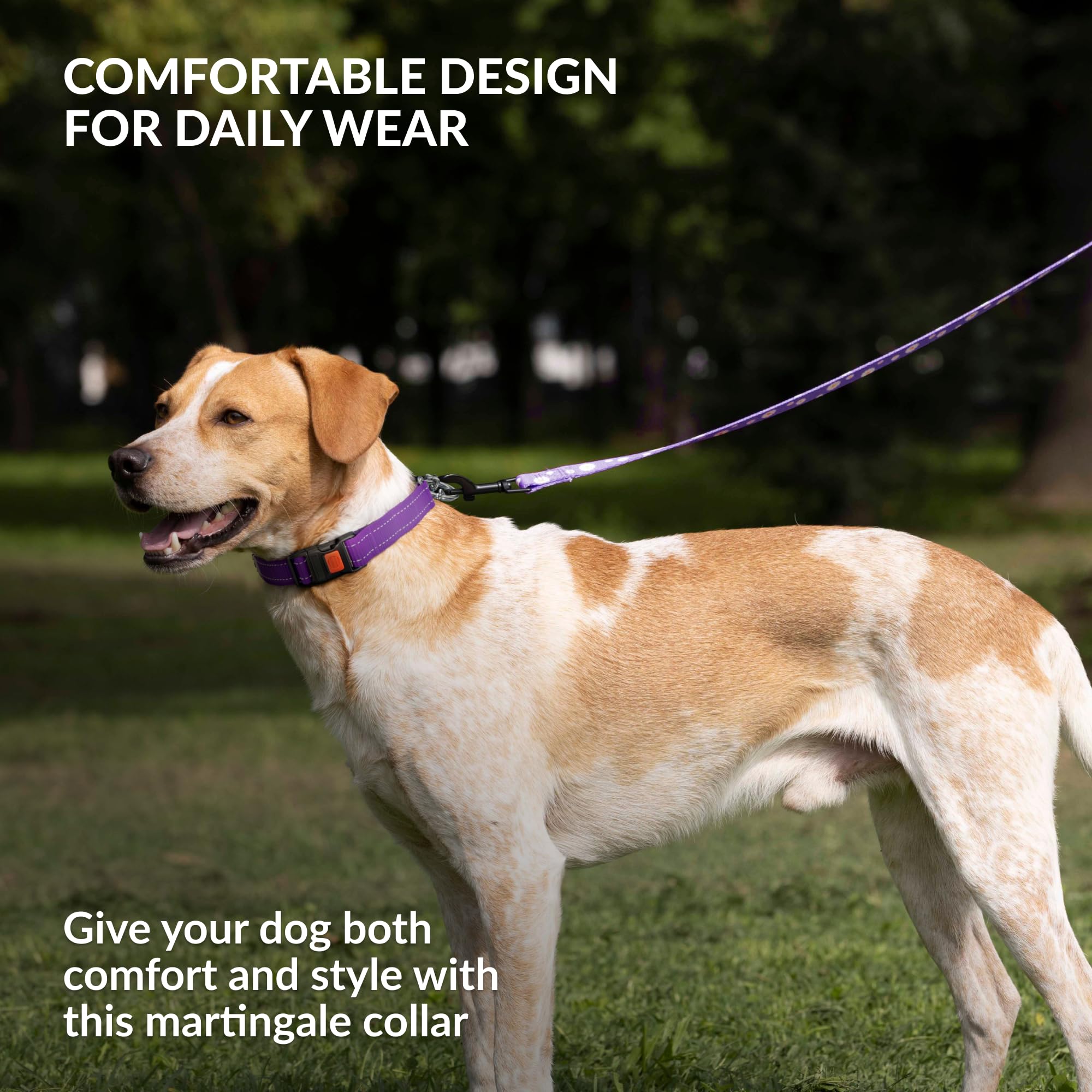 CollarDirect Martingale Dog Collar - Medium (14"-17") - Purple Reflective Nylon - Slip Collar for Training