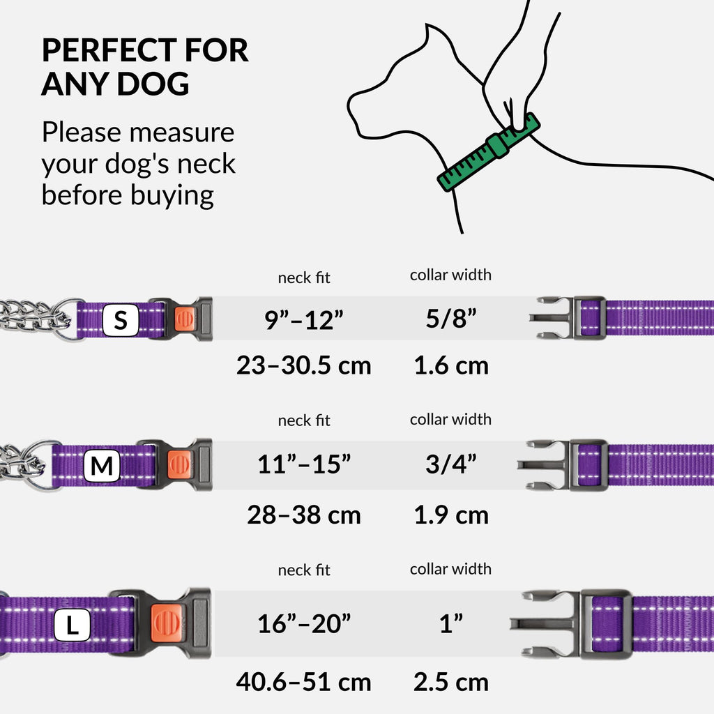 CollarDirect Martingale Dog Collar - Medium (14"-17") - Purple Reflective Nylon - Slip Collar for Training