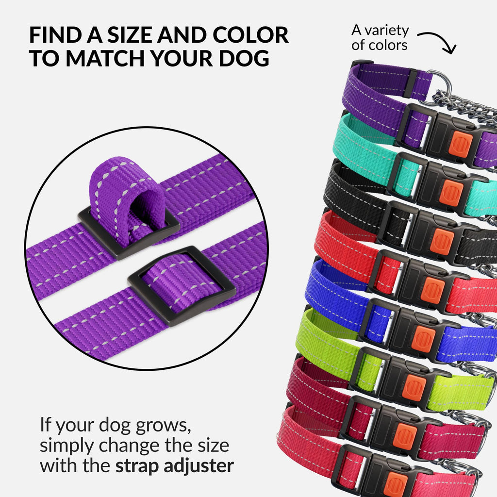 CollarDirect Martingale Dog Collar - Medium (14"-17") - Purple Reflective Nylon - Slip Collar for Training