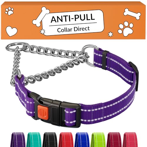CollarDirect Martingale Dog Collar - Medium (14"-17") - Purple Reflective Nylon - Slip Collar for Training