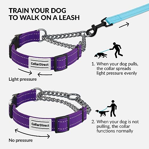 CollarDirect Martingale Dog Collar - Medium (14"-17") - Purple Reflective Nylon - Slip Collar for Training
