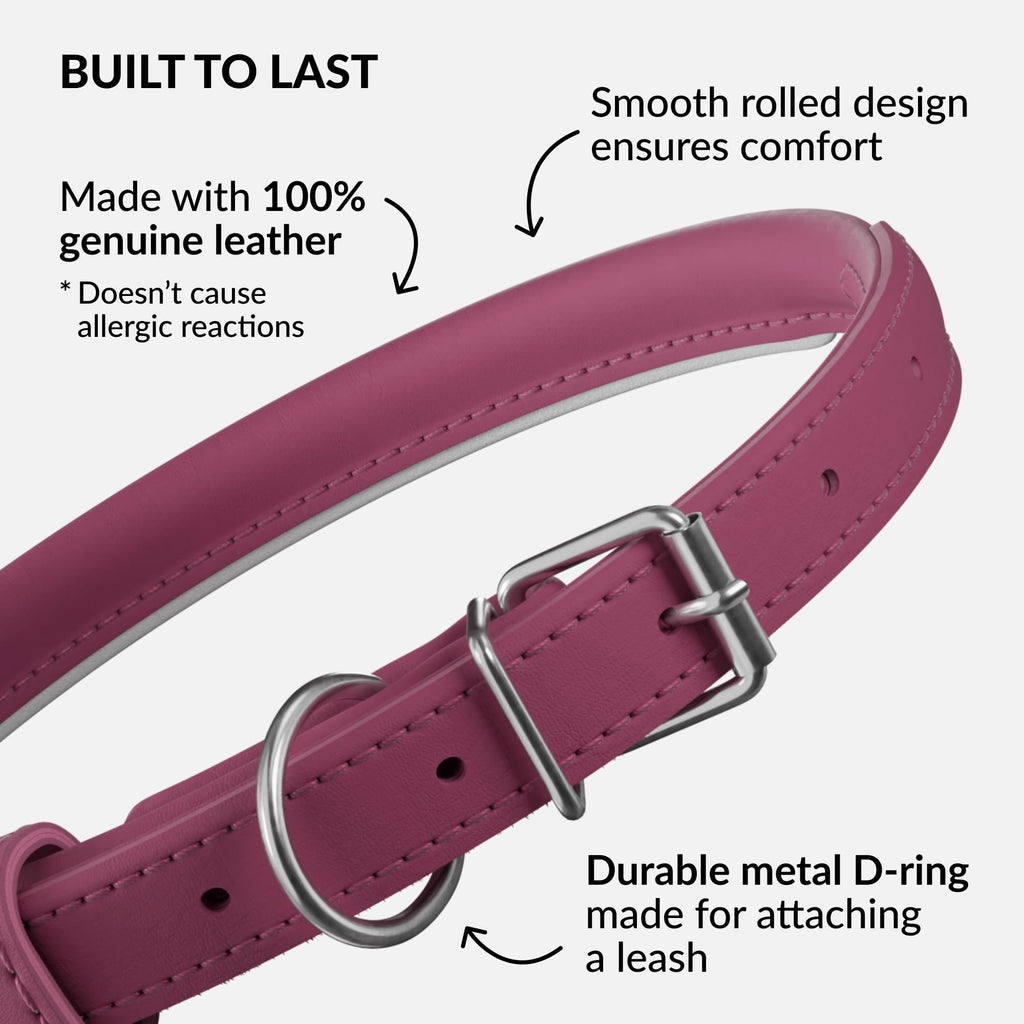 CollarDirect Pink Reflective Rolled Leather Dog Collar – Handmade Genuine Leather, 0.6-Inch Wide, Fits 11-14 Inch Neck