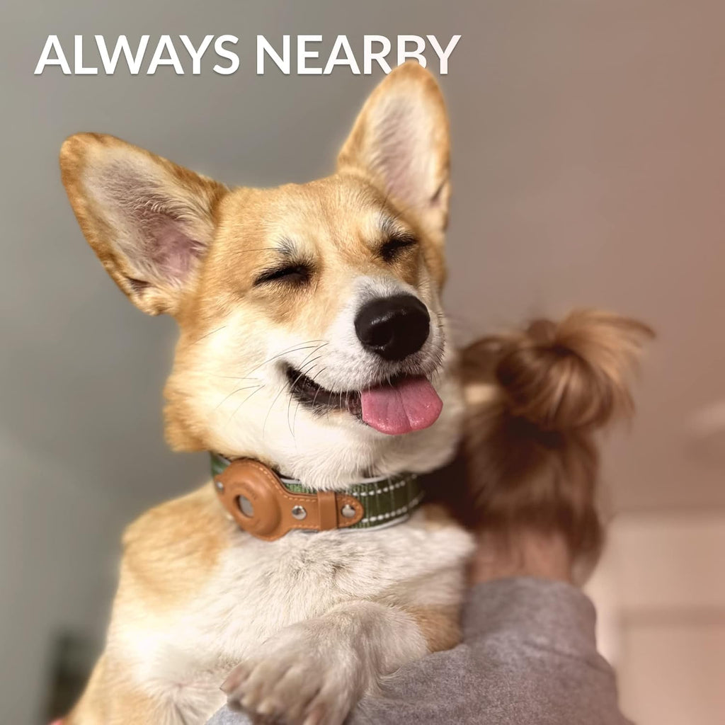 CollarDirect Pink XL Airtag Dog Collar with Reflective Nylon, Neoprene, Leather Holder for Apple AirTag, 20-24 Inch