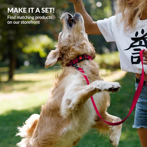CollarDirect Reflective Dog Collar 18-26 Inch Pink with Quick Release Buckle for Active Dogs