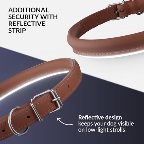 CollarDirect Reflective Rolled Leather Dog Collar - Soft Padded Round Collar for Small & Large Dogs, 0.8" Wide, 15-19 Inch Neck, Cinnamon