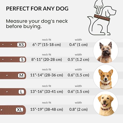 CollarDirect Reflective Rolled Leather Dog Collar - Soft Padded Round Collar for Small & Large Dogs, 0.8" Wide, 15-19 Inch Neck, Cinnamon