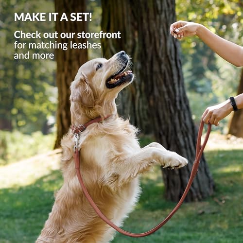 CollarDirect Reflective Rolled Leather Dog Collar - Soft Padded Round Collar for Small & Large Dogs, 0.8" Wide, 15-19 Inch Neck, Cinnamon
