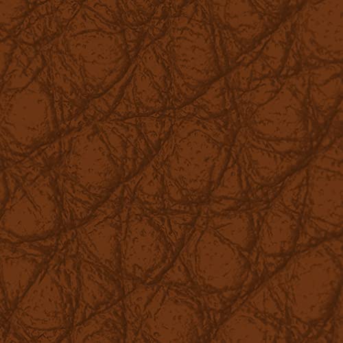 vimg::12