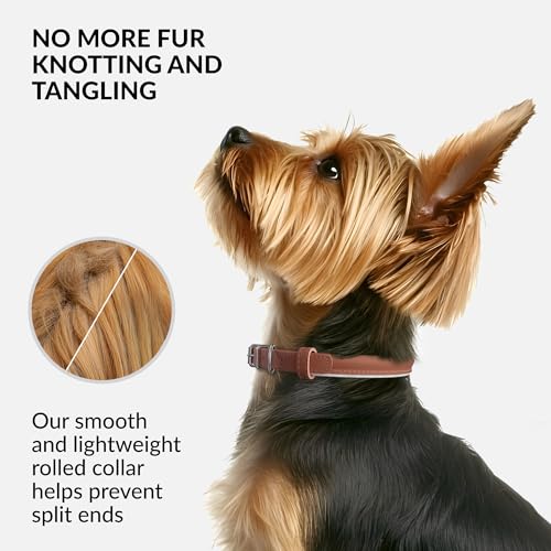 CollarDirect Reflective Rolled Leather Dog Collar - Soft Padded Round Collar for Small & Large Dogs, 0.8" Wide, 15-19 Inch Neck, Cinnamon