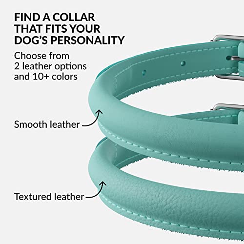 CollarDirect Reflective Rolled Leather Dog Collar - Soft Padded Round Puppy Collar, Handmade Genuine Leather, 15-19 Inch Neck, Mint Green