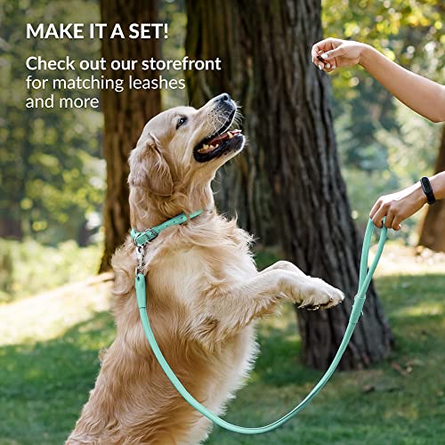 CollarDirect Reflective Rolled Leather Dog Collar - Soft Padded Round Puppy Collar, Handmade Genuine Leather, 15-19 Inch Neck, Mint Green