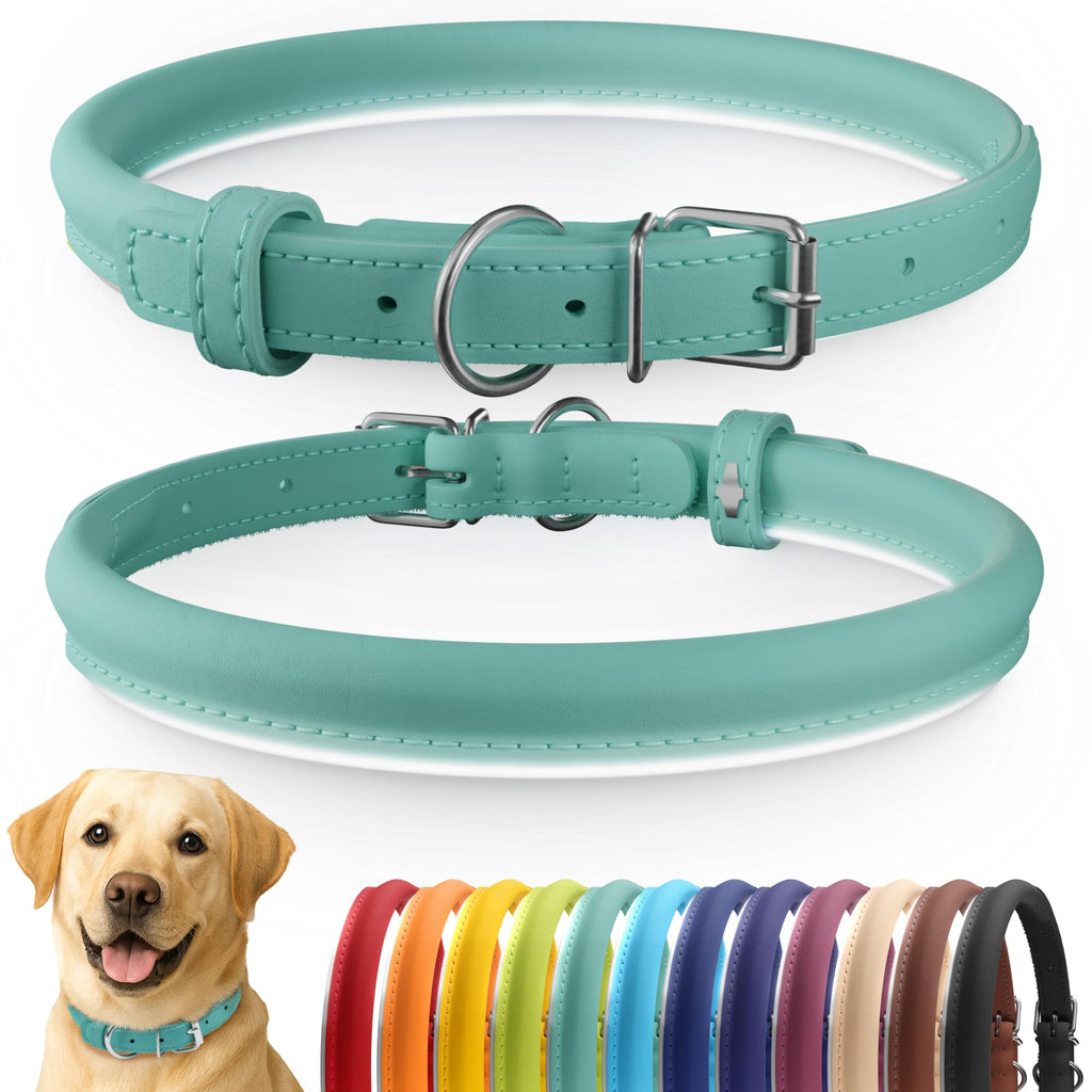 CollarDirect Reflective Rolled Leather Dog Collar - Soft Padded Round Puppy Collar, Handmade Genuine Leather, 15-19 Inch Neck, Mint Green