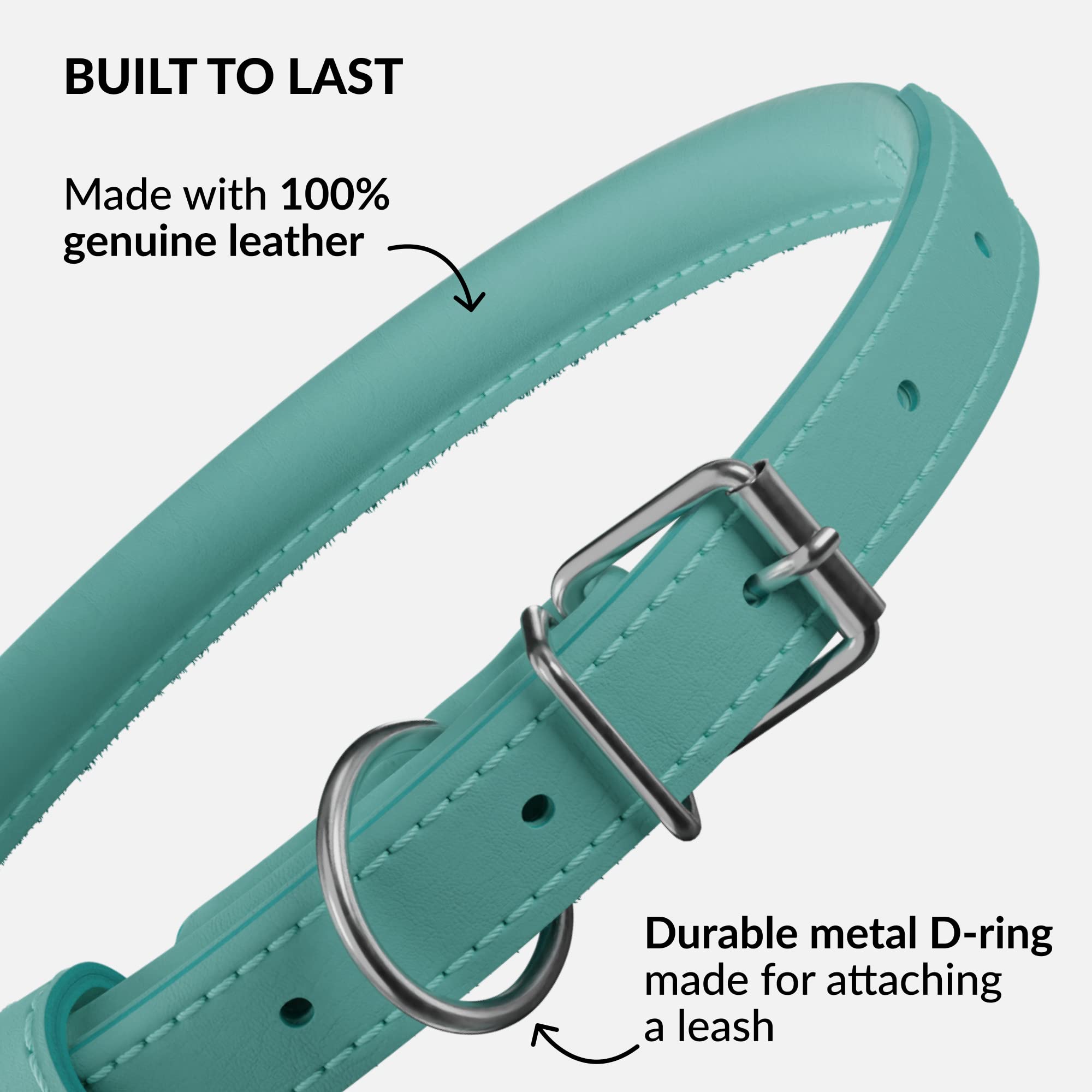 CollarDirect Reflective Rolled Leather Dog Collar - Soft Padded Round Puppy Collar, Handmade Genuine Leather, 15-19 Inch Neck, Mint Green