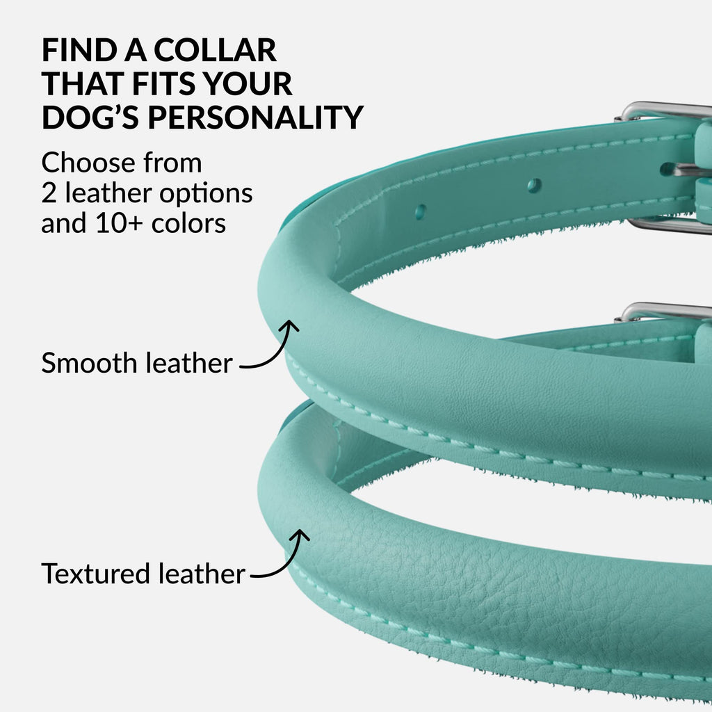 CollarDirect Reflective Rolled Leather Dog Collar - Soft Padded Round Puppy Collar, Handmade Genuine Leather, 15-19 Inch Neck, Mint Green