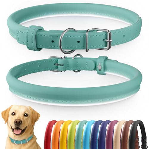 CollarDirect Reflective Rolled Leather Dog Collar - Soft Padded Round Puppy Collar, Handmade Genuine Leather, 15-19 Inch Neck, Mint Green