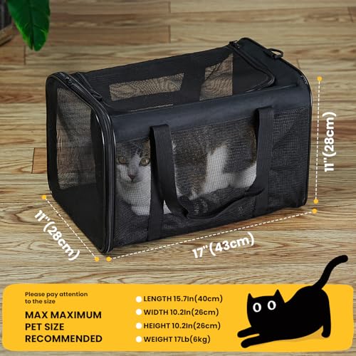 Conlun Soft-Sided Cat Carrier Bag – 17x11x11 Inch, Airline Approved, Collapsible, Black