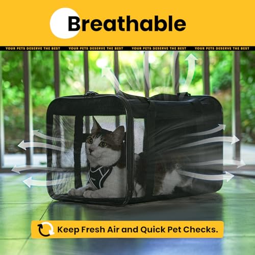 Conlun Soft-Sided Cat Carrier Bag – 17x11x11 Inch, Airline Approved, Collapsible, Black