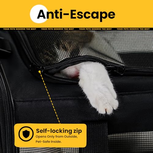 Conlun Soft-Sided Cat Carrier Bag – 17x11x11 Inch, Airline Approved, Collapsible, Black
