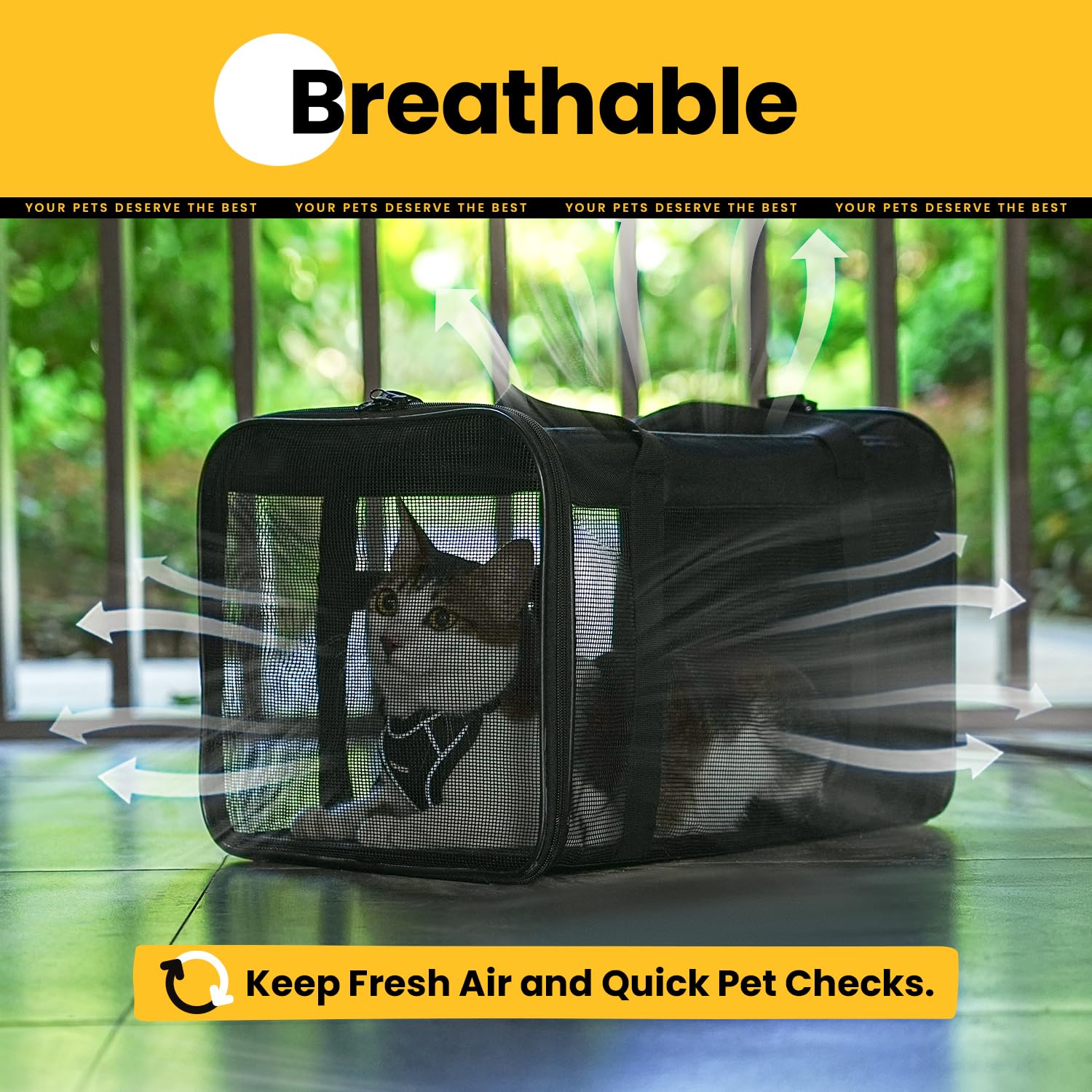 Conlun Soft-Sided Cat Carrier Bag – 17x11x11 Inch, Airline Approved, Collapsible, Black