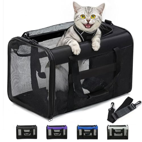 Conlun Soft-Sided Cat Carrier Bag – 17x11x11 Inch, Airline Approved, Collapsible, Black