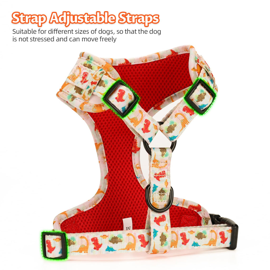 COOWONE No Pull Dog Harness and Leash Set – Ultra Lightweight Adjustable Vest for Small Medium Dogs with Floral Print